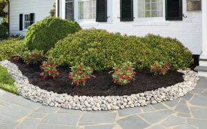How Much Decorative Rock Do I Need