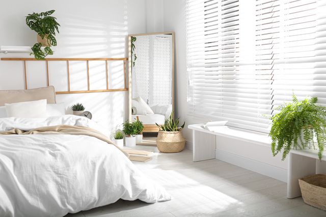 Natural and Artificial Light with Mirrors