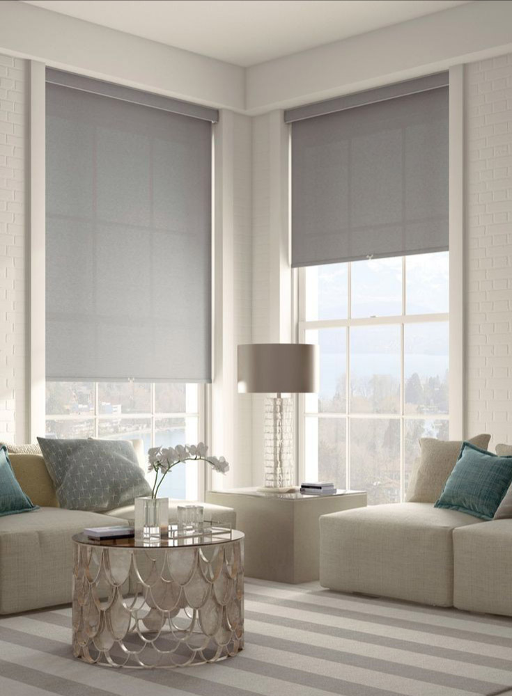 What Are Window Blinds