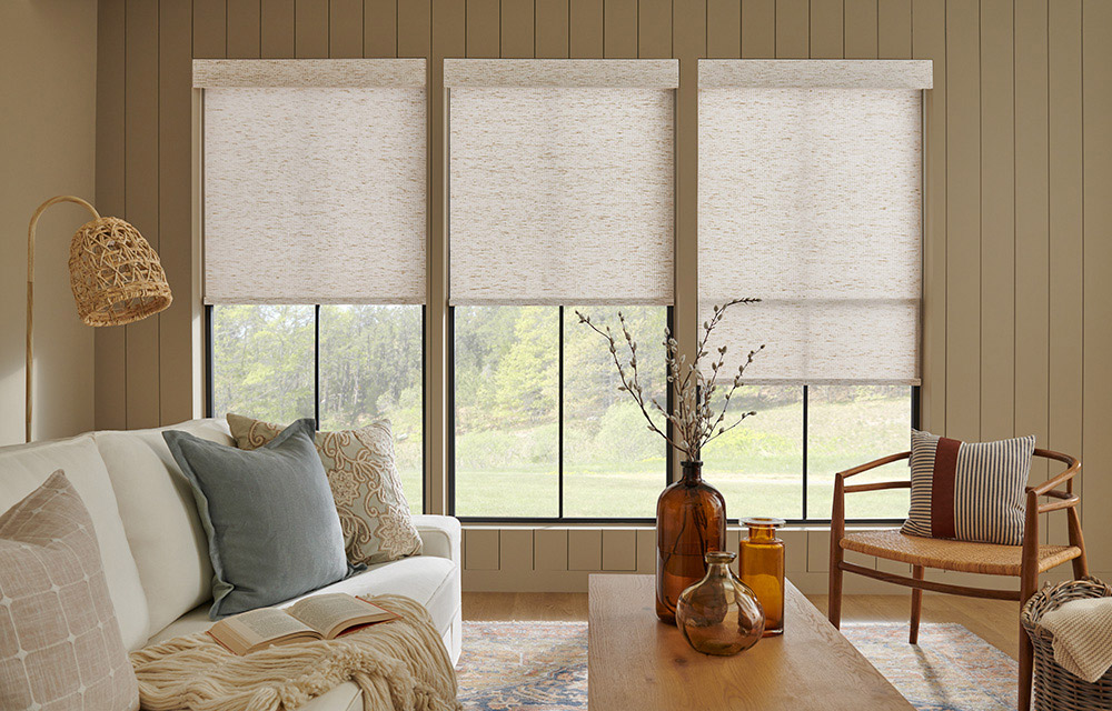 What Are Window Shades